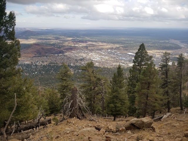 Mt Elden Lookout Trail