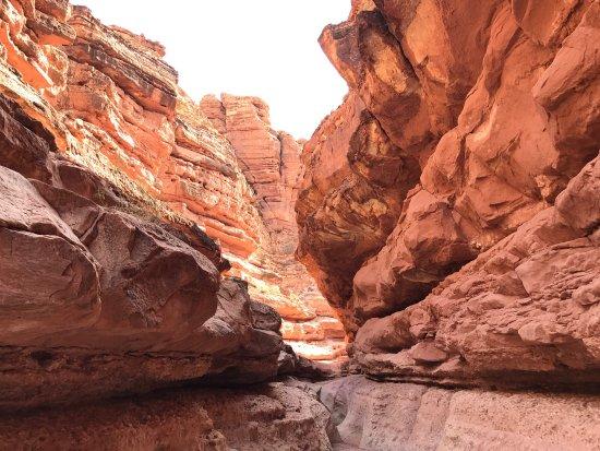 Cathedral Wash Trail