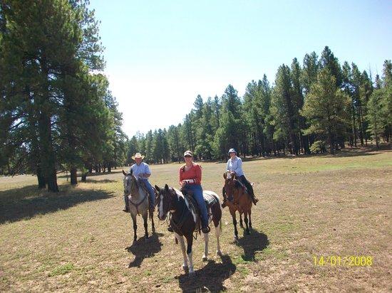 Morrison Brothers Windmill Ranch
