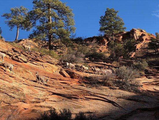 Many Pools Trail