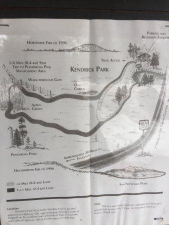 Kendrick Park Nature Trail