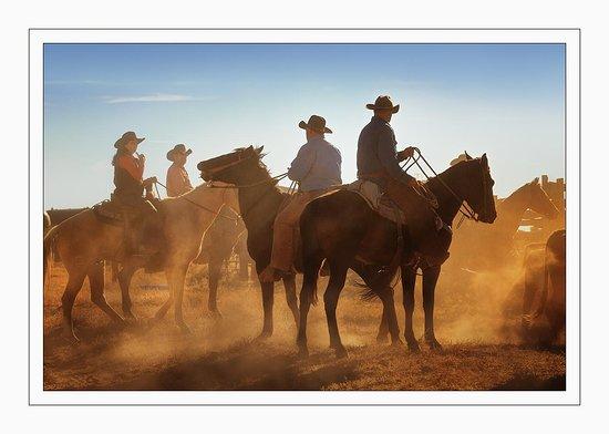 Grand Canyon Ranch & Outfitters