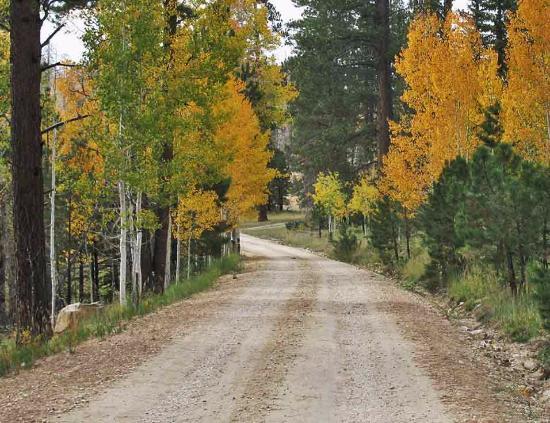 Kaibab National Forest